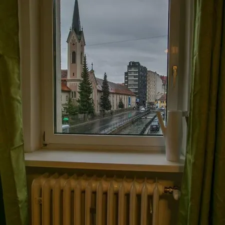 Flataid Elisabethinergasse Naehe Bahnhof * グラーツ