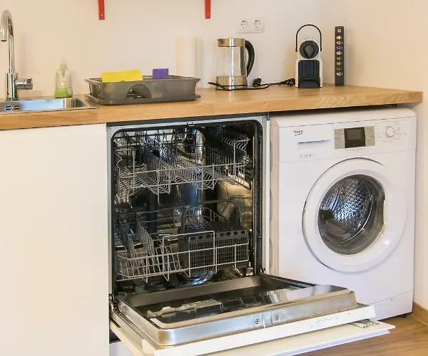 Flataid Elisabethinergasse Naehe Bahnhof 格拉茨